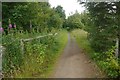 NJ9254 : Formartine and Buchan Way, Borrohill Plantation by Richard Webb