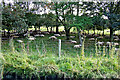 Resting in the shade near Bollington in Cheshire