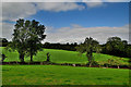 Clouds and blue sky, Magheragart