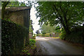 Rose Ash : Country Lane