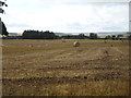 Stubble field with bales near Arden House