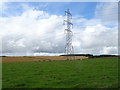 Grazing and pylon near Grenheads