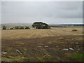 Stubble field near Greenmyre