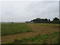 Field towards Easterton Cottage