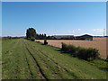 Farm buildings at Downes