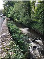 River Bollin, Bollin Grove Prestbury