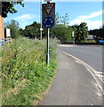 Unmown area on an Overmonnow corner, Monmouth