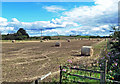 Harvested barley field at Drybridge