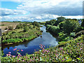 The River Irvine at Drybridge