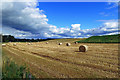 Harvest time near Drybridge