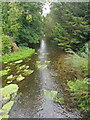 River Kennet, Hilliers Yard, Marlborough