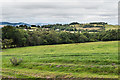 Field edge near Gorstley Rough