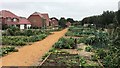 New houses and allotments south of West End Lane