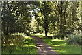 Footpath, Holmwood Common