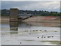ST4354 : Geese on Cheddar reservoir by Malc McDonald