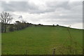 Pasture near Pannal