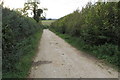 Bridleway along Foxhill Lane