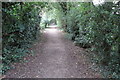 Footpath to the church