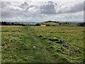 SJ9573 : Gritstone Trail near Windyway Farm by Philip Cornwall