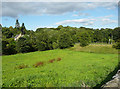 View towards the River Don from Roughbirchworth Lane