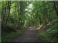 Footpath west of Brinnington Tunnel