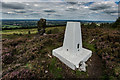 SJ8557 : Trigpoint and The Old Man Of Mow, Mow Cop by Brian Deegan