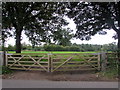 Twin field gates south of Llanarth, Monmouthshire