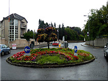H4572 : NHS floral display, Swinging Bars Roundabout, Omagh by Kenneth  Allen