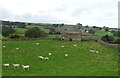 SE0884 : Sheep grazing near Lane House Farm by JThomas