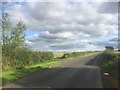 Road to Culross passing Gallowridge