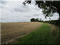 Stubble field alongside the Bluestone Heath Road