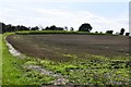 Bardwell: Harvested crop