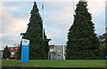 Conifers at the entrance to SKF on Sundon Park Road, Luton