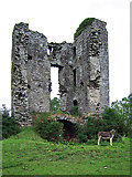 N9563 : Castles of Leinster: Monktown, Meath (1) by Garry Dickinson