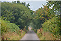 Witheridge : Country Road