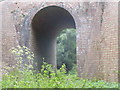 Railway bridge in Oak Wood