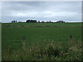 Farmland towards North Blackhill