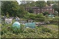 Allotments