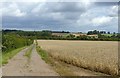 Farm track below Goldhill Farm