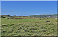 Borth & Ynyslas Golf Course, Ynyslas