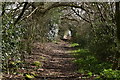 Bridleway near Hermitage Farm