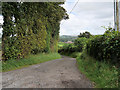 Track to Walmsley Fold