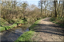 TQ5638 : Tunbridge Wells Circular Walk link path, Friezland Wood and River Grom by N Chadwick