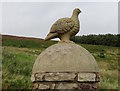 Guardian Grouse