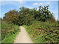 Roding Valley Way near Ilford