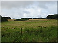 Cut silage field, Artrochie