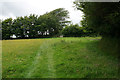 Bridleway in a field corner