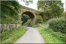 SK2367 : Coombs Road viaduct by Malcolm Neal