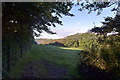 Path between Gwenter and Kennack Sands