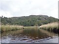 NN4025 : River Fillan delta, Loch Dochart by Richard Webb